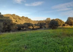 Actividades al aire libre y naturaleza en La Mazuela, cerca de Madrid